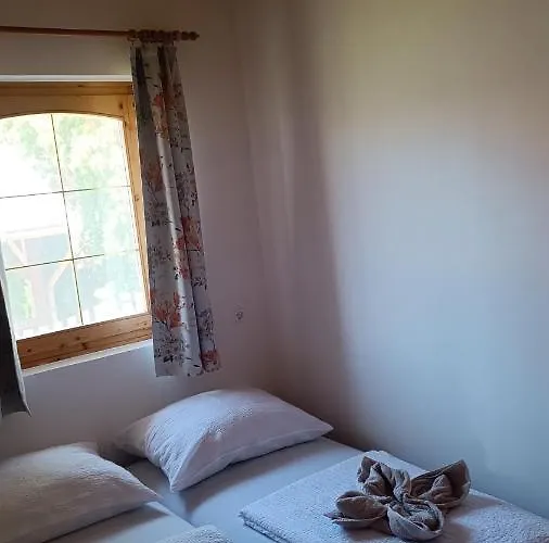 Vica * Balatonbereny